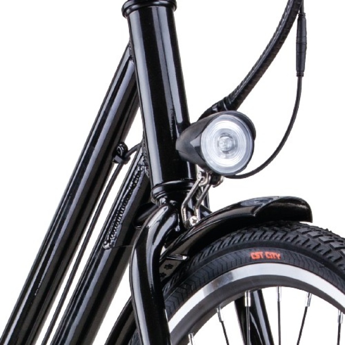 Elektrinis dviratis Beaster BS111B 250 W 36 V 10 Ah juodas 5